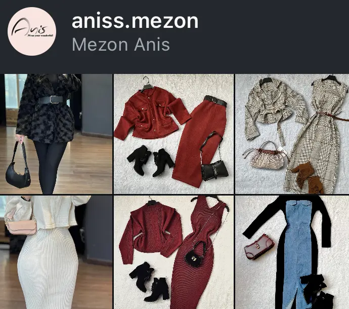 aniss.mezon