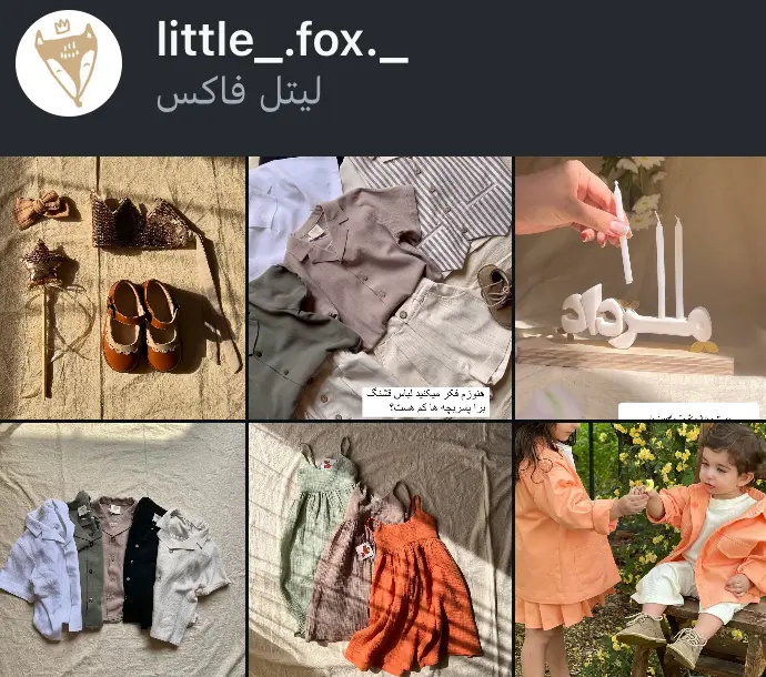 little_.fox._