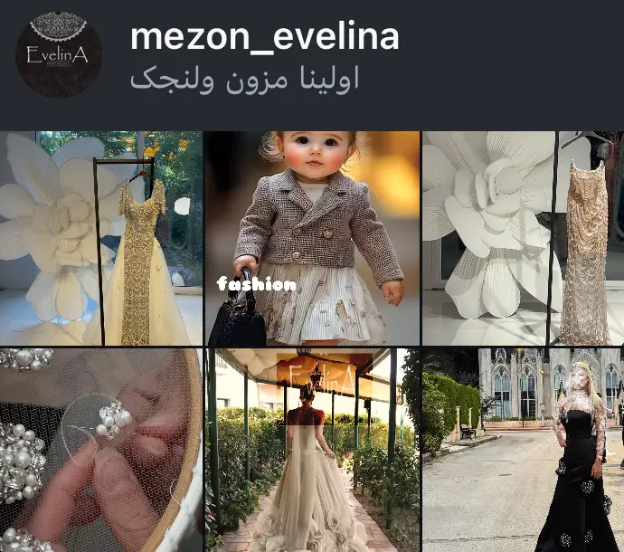 mezon_evelina