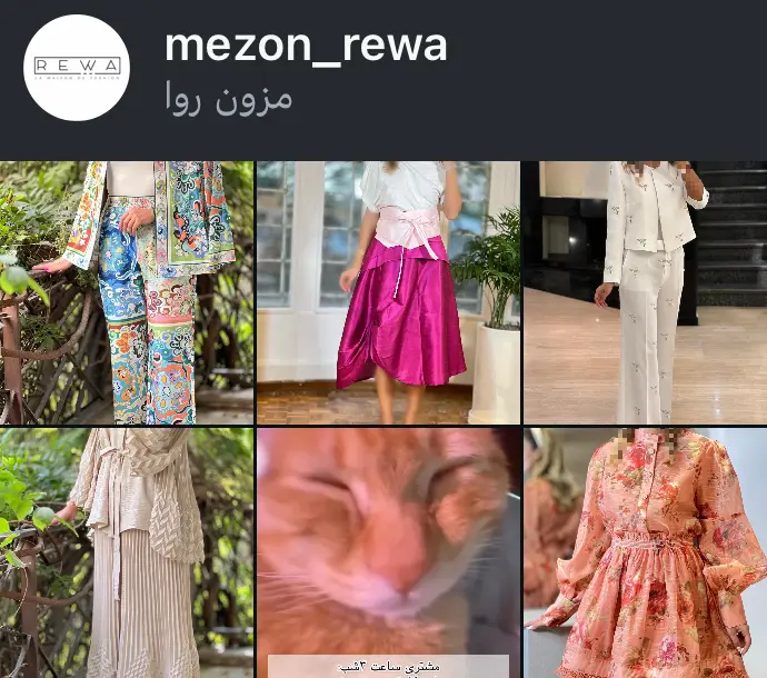 mezon_rewa