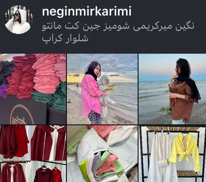 neginmirkarimi