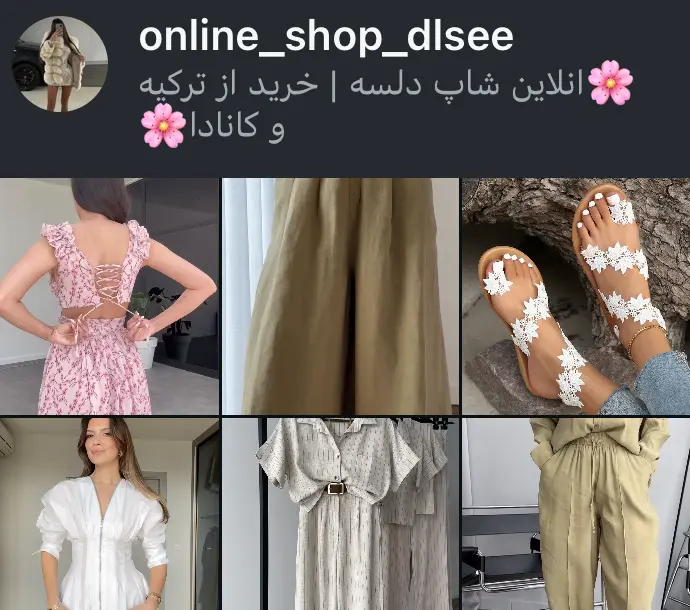 online_shop_dlsee