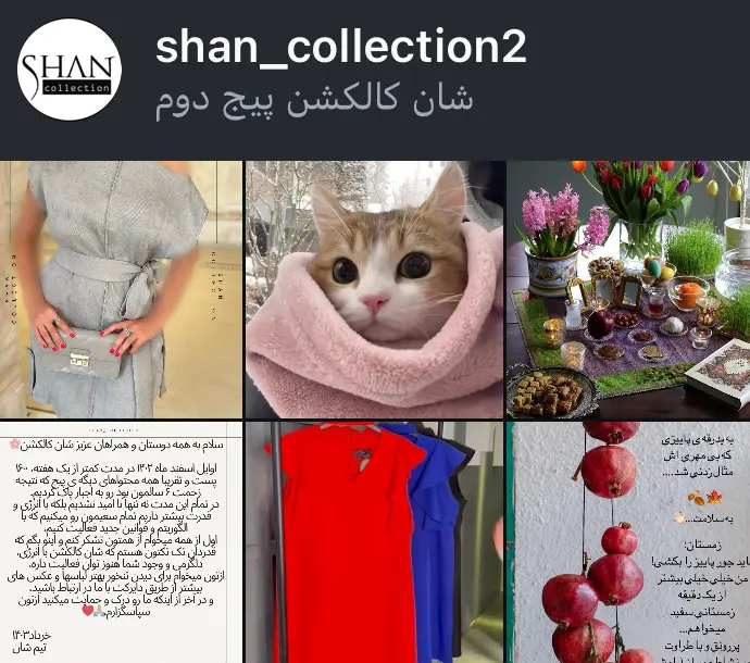 shan_collection2