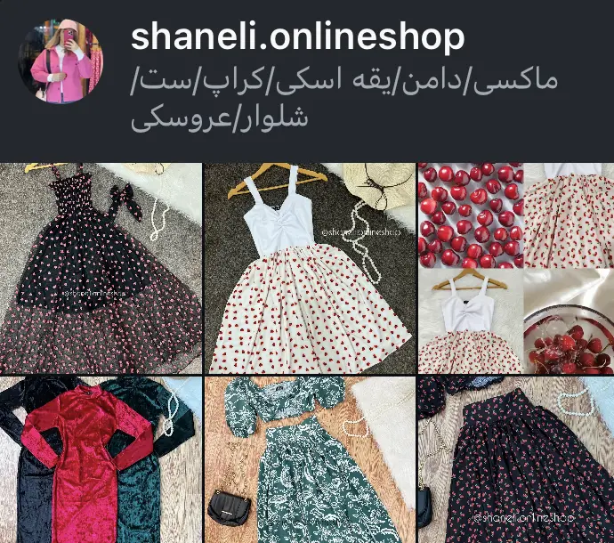 shaneli.onlineshop