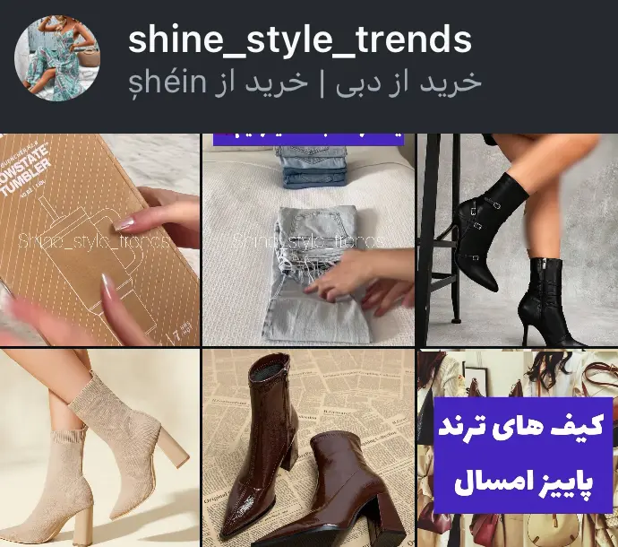 shine_style_trends