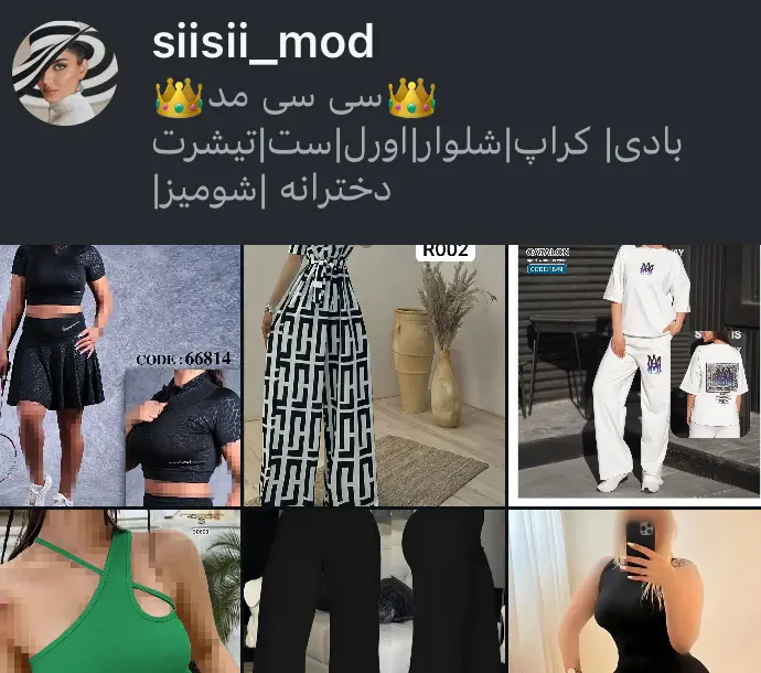 siisii_mod