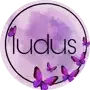 ludus_gallery